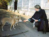 Московские милиционеры пытаются доказать, что их избила 60-летняя женщина