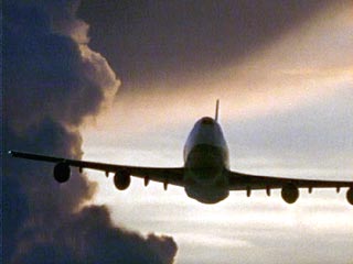 "Аль-Каида" угрожает взрывать пассажирские самолеты, летящие в США из Южной Кореи